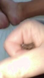 manumad33 webcam model stream image