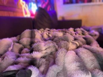 SweetyMeow webcam bongacams model stream image