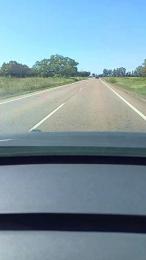 pichi84 webcam model stream image