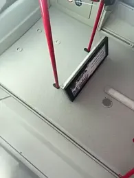 IsabellaEtha webcam model stream image