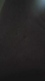 Kitty01lovexxx webcam cam4 model stream image