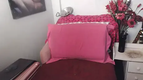 transagera webcam model stream image