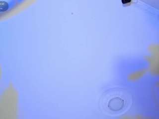 apotheosiss webcam model stream image