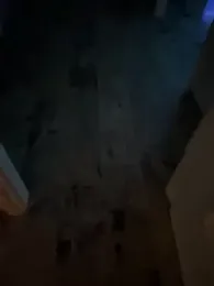 Maialona78 webcam model stream image