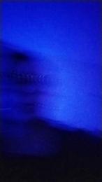 Donostipar webcam model stream image