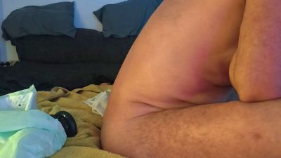 Donostipar webcam model stream image