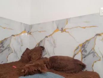 saraandthomas webcam model stream image