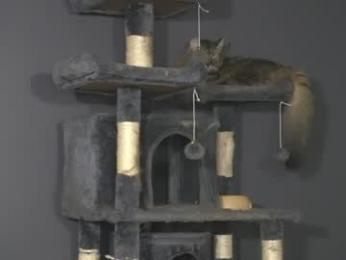 sydaffect webcam model stream image