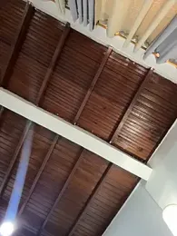 emiss_ webcam model stream image