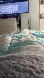 pedrito_6 webcam model stream image