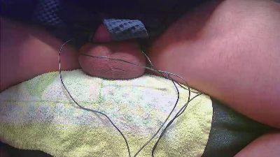 dog_666 webcam model stream image