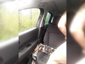 Dreamlove20 webcam model stream image