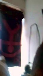 Grey25cm webcam cam4 model stream image