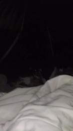 Petitebombe34 webcam model stream image