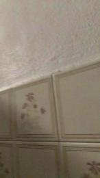 Petitebombe34 webcam model stream image