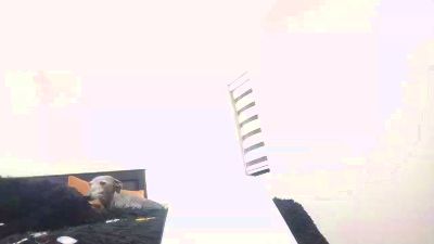 maximo_xz webcam model stream image