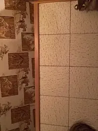 Tonybaloney1972 webcam model stream image