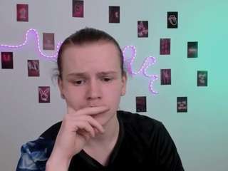 leo-void webcam model stream image