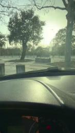 kiiis51 webcam cam4 model stream image