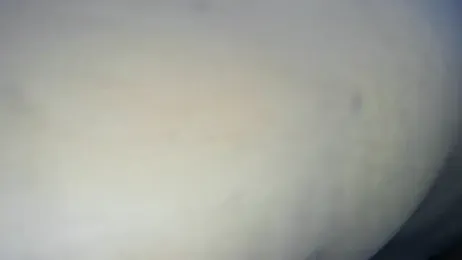 Younger_Couples webcam model stream image