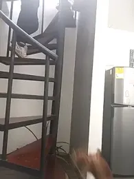 Fernandar2025 webcam model stream image