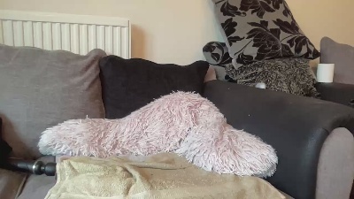 Hotbabe2019 webcam model stream image