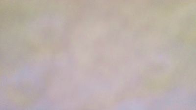 saraa88 webcam model stream image