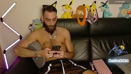 DaWoD030 webcam model stream image