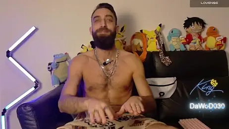 DaWoD030 webcam model stream image