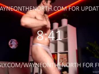 waynenorth webcam chaturbate model stream image