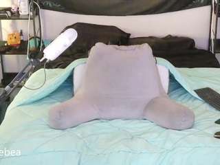 savethebea webcam camsoda model stream image