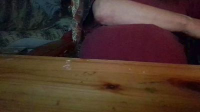 porcinoTN webcam model stream image