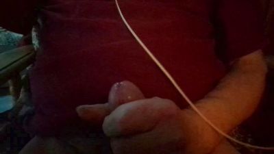 porcinoTN webcam model stream image