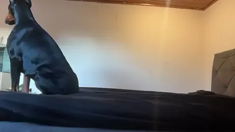 ClaireDeLunee webcam model stream image