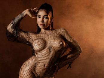 DonnaTaylor webcam model stream image