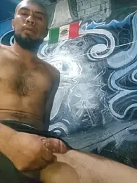 vergueo3 webcam model stream image