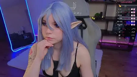 zelda_1 webcam model stream image