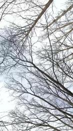 BlueEye_Girl webcam model stream image