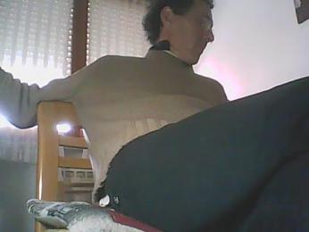 Moro_ra webcam model stream image