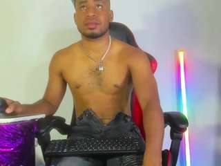 prince-gemini webcam model stream image
