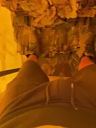 cussy007 webcam model stream image