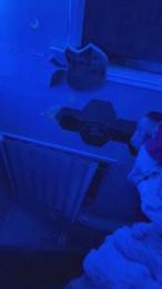 sugarbabyyyhot webcam model stream image