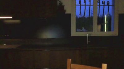 dutchboy1234 webcam model stream image