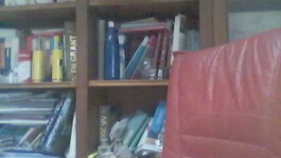 raulcastr0 webcam model stream image