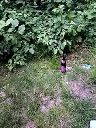 Secret_couple_ stripchat stream image, 04.06.2025 14:10