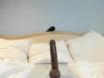 eatmygingersnapps chaturbate stream image, 11.06.2025 14:40