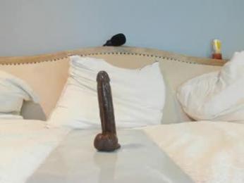 eatmygingersnapps chaturbate stream image, 22.07.2025 15:10