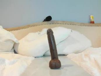 eatmygingersnapps chaturbate stream image, 22.07.2025 15:10