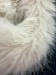 NewLale stripchat stream image