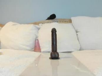 eatmygingersnapps chaturbate stream image, 07.10.2025 14:40